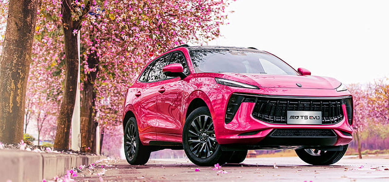 Обложка Лиды Dongfeng